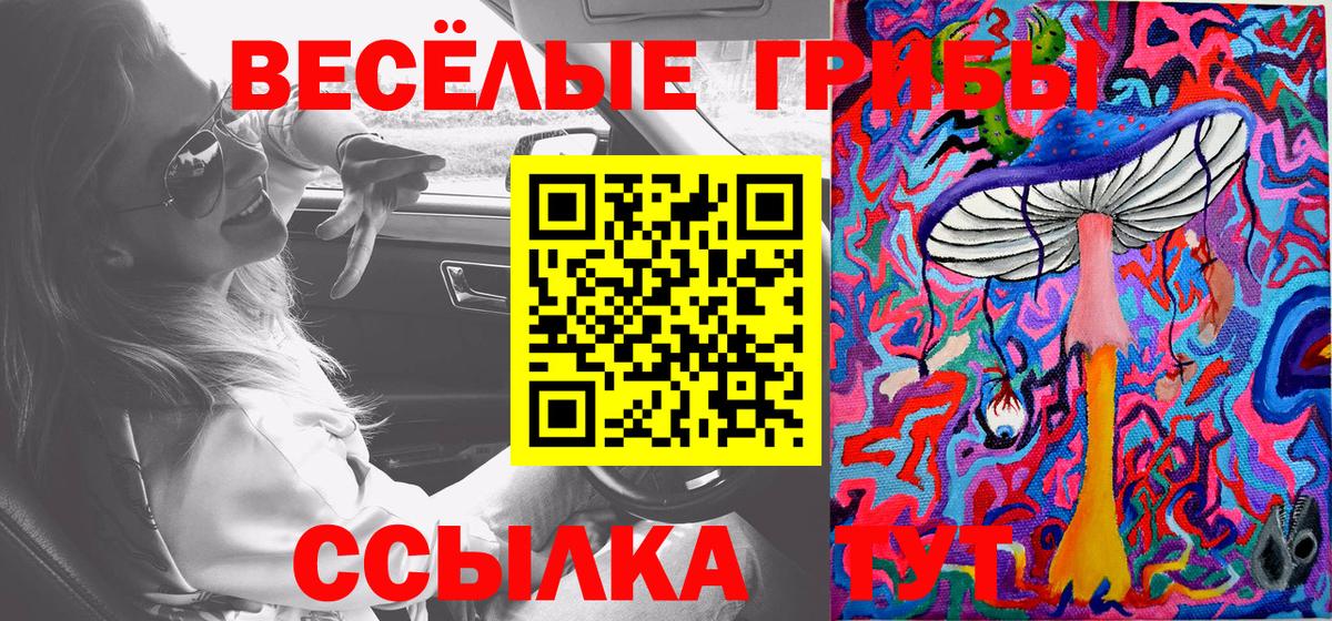 Вязники  Галлюциногенные грибы Magic Shrooms  Псилоцибиновые грибы ЛСД  Вход с VPN 